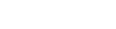 The Blowzone Logo
